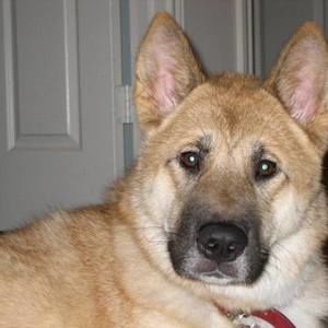 Meet your Posher, Riki n marie